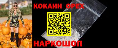 jwh Камышлов
